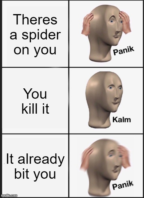 Spider Bite | Theres a spider on you; You kill it; It already bit you | image tagged in memes,panik kalm panik | made w/ Imgflip meme maker