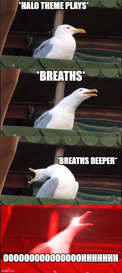Everyone sing the Halo theme | *HALO THEME PLAYS*; *BREATHS*; *BREATHS DEEPER*; OOOOOOOOOOOOOOOHHHHHHH | image tagged in memes,inhaling seagull,halo,theme song | made w/ Imgflip meme maker