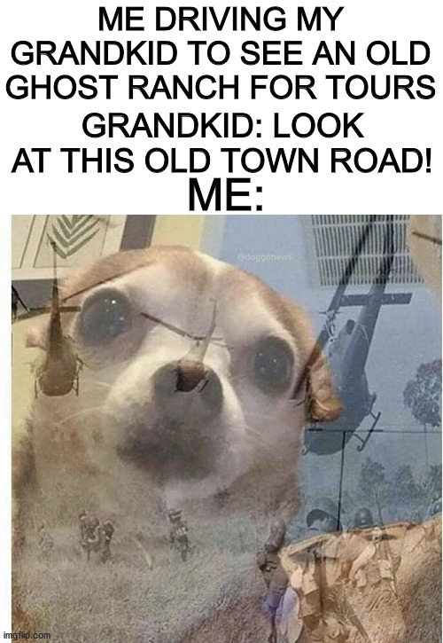 PTSD Chihuahua | ME DRIVING MY GRANDKID TO SEE AN OLD GHOST RANCH FOR TOURS; GRANDKID: LOOK AT THIS OLD TOWN ROAD! ME: | image tagged in ptsd chihuahua | made w/ Imgflip meme maker