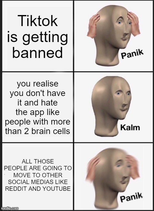 THIS IS TRUE | Tiktok is getting banned; you realise you don't have it and hate the app like people with more than 2 brain cells; ALL THOSE PEOPLE ARE GOING TO MOVE TO OTHER SOCIAL MEDIAS LIKE REDDIT AND YOUTUBE | image tagged in memes,panik kalm panik | made w/ Imgflip meme maker