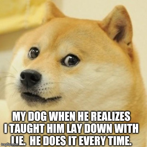 Doge Meme | MY DOG WHEN HE REALIZES I TAUGHT HIM LAY DOWN WITH LIE.  HE DOES IT EVERY TIME. | image tagged in memes,doge | made w/ Imgflip meme maker
