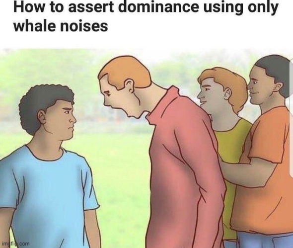 uuhhh | image tagged in repost,dominance,whale | made w/ Imgflip meme maker