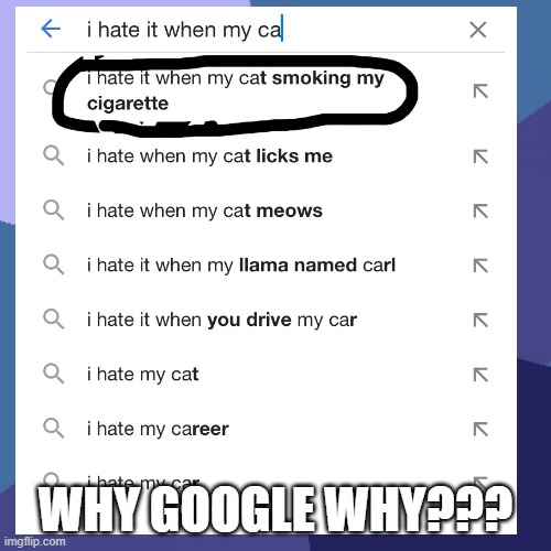 Why Google? | WHY GOOGLE WHY??? | image tagged in google search | made w/ Imgflip meme maker