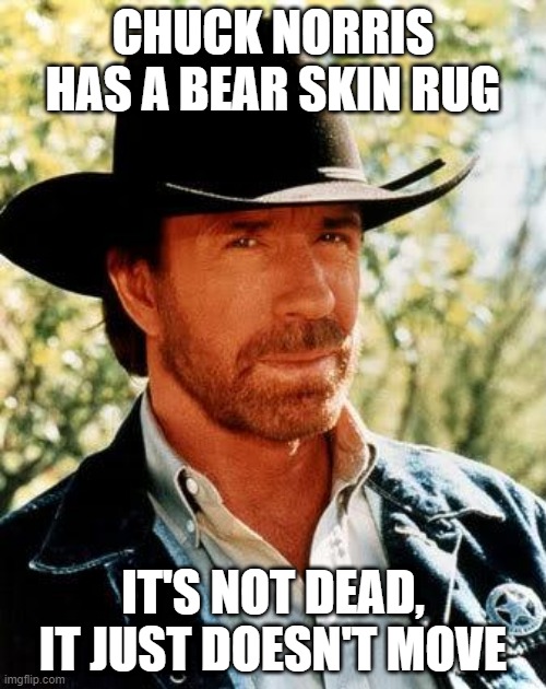Scaredy Bear | CHUCK NORRIS HAS A BEAR SKIN RUG; IT'S NOT DEAD, IT JUST DOESN'T MOVE | image tagged in memes,chuck norris | made w/ Imgflip meme maker