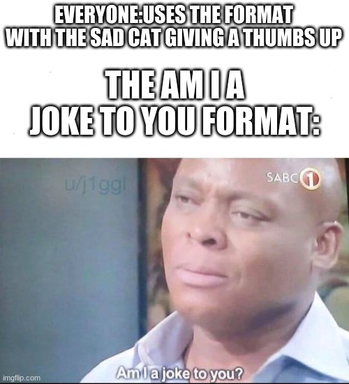am I a joke to you | EVERYONE:USES THE FORMAT WITH THE SAD CAT GIVING A THUMBS UP; THE AM I A JOKE TO YOU FORMAT: | image tagged in am i a joke to you | made w/ Imgflip meme maker