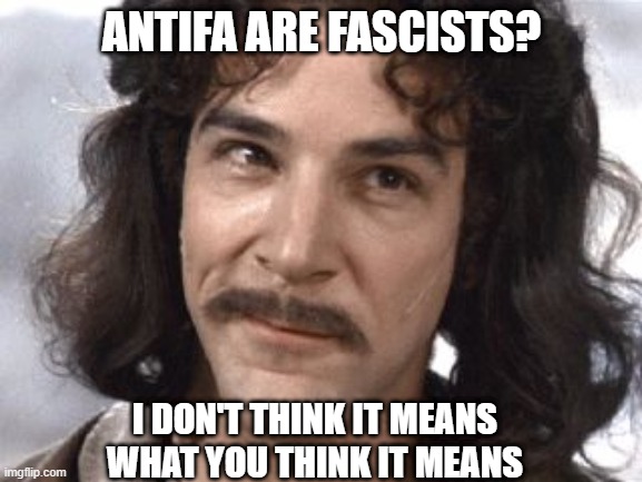 I Do Not Think That Means What You Think It Means | ANTIFA ARE FASCISTS? I DON'T THINK IT MEANS WHAT YOU THINK IT MEANS | image tagged in i do not think that means what you think it means | made w/ Imgflip meme maker