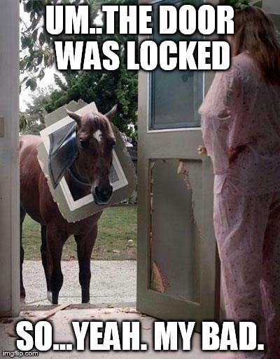 image tagged in funny,horse,animals | made w/ Imgflip meme maker