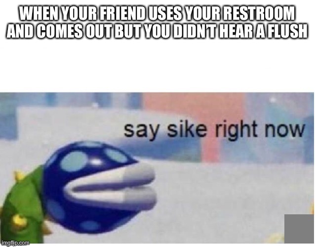 say sike right now | WHEN YOUR FRIEND USES YOUR RESTROOM AND COMES OUT BUT YOU DIDN’T HEAR A FLUSH | image tagged in say sike right now | made w/ Imgflip meme maker