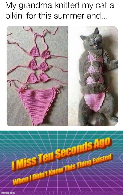 no | image tagged in i miss ten seconds ago,nope,nope nope nope,bikini,cats,repost | made w/ Imgflip meme maker