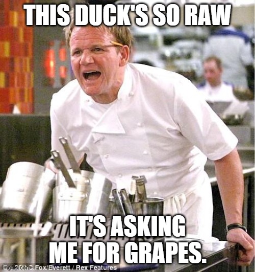 Go Fire That Lemonade Stand Chef | THIS DUCK'S SO RAW; IT'S ASKING ME FOR GRAPES. | image tagged in memes,chef gordon ramsay,the duck song | made w/ Imgflip meme maker