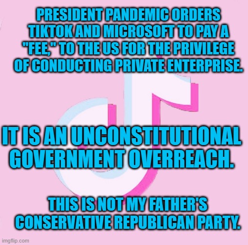 President Pandemic's "Free Enterprise," Is Not Free | PRESIDENT PANDEMIC ORDERS TIKTOK AND MICROSOFT TO PAY A "FEE," TO THE US FOR THE PRIVILEGE OF CONDUCTING PRIVATE ENTERPRISE. IT IS AN UNCONSTITUTIONAL GOVERNMENT OVERREACH. THIS IS NOT MY FATHER'S CONSERVATIVE REPUBLICAN PARTY. | image tagged in politics | made w/ Imgflip meme maker
