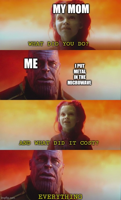 Thanos Gamora What did it cost | MY MOM; WHAT DID YOU DO? I PUT METAL IN THE MICROWAVE; ME; AND WHAT DID IT COST? EVERYTHING | image tagged in thanos gamora what did it cost | made w/ Imgflip meme maker