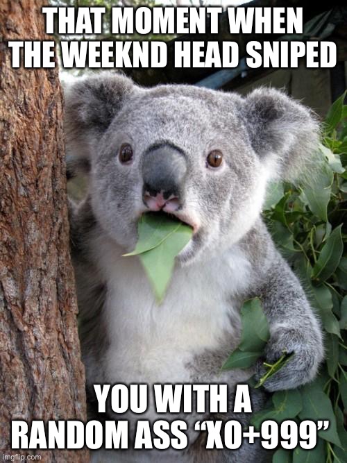Surprised Koala | THAT MOMENT WHEN THE WEEKND HEAD SNIPED; YOU WITH A RANDOM ASS “XO+999” | image tagged in memes,surprised koala | made w/ Imgflip meme maker