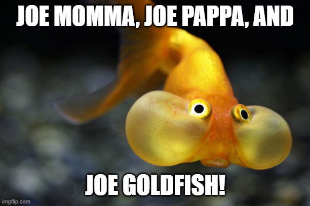 hold your breath goldfish | JOE MOMMA, JOE PAPPA, AND JOE GOLDFISH! | image tagged in hold your breath goldfish | made w/ Imgflip meme maker