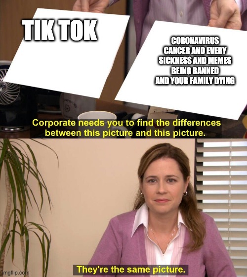 They are the same picture | TIK TOK; CORONAVIRUS CANCER AND EVERY SICKNESS AND MEMES BEING BANNED AND YOUR FAMILY DYING | image tagged in they are the same picture | made w/ Imgflip meme maker