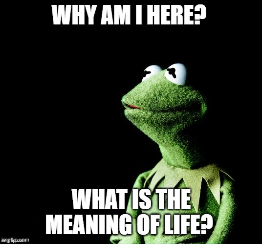 Contemplative Kermit | WHY AM I HERE? WHAT IS THE MEANING OF LIFE? | image tagged in contemplative kermit | made w/ Imgflip meme maker