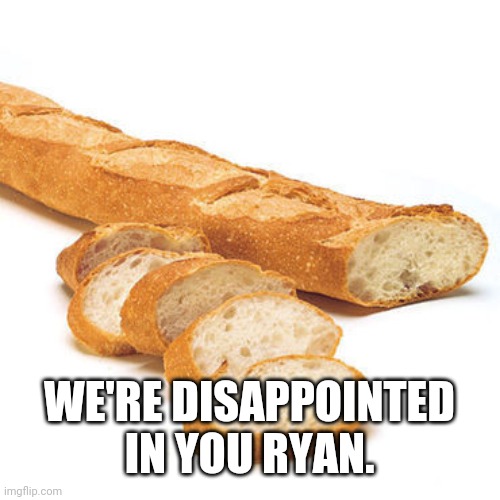 French Bread Baguette | WE'RE DISAPPOINTED IN YOU RYAN. | image tagged in french bread baguette | made w/ Imgflip meme maker