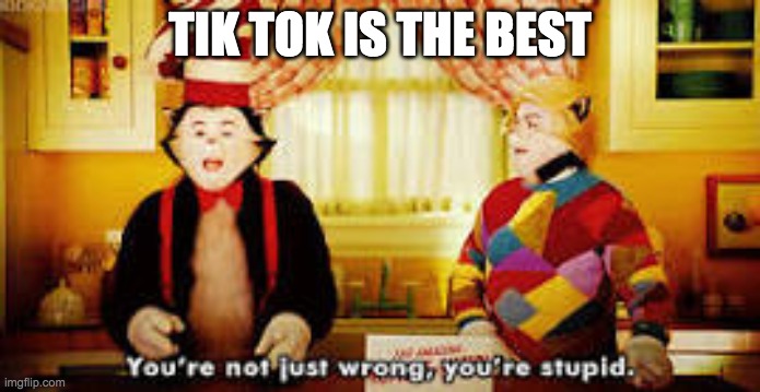 Your not just wrong your stupid | TIK TOK IS THE BEST | image tagged in your not just wrong your stupid | made w/ Imgflip meme maker