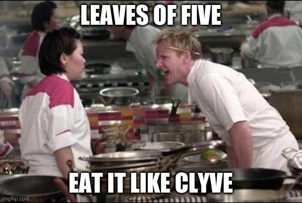 Angry Chef Gordon Ramsay Meme | LEAVES OF FIVE EAT IT LIKE CLYVE | image tagged in memes,angry chef gordon ramsay | made w/ Imgflip meme maker
