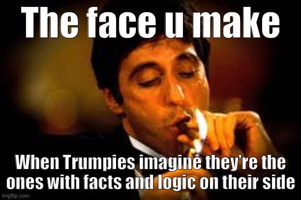 Self-explanatory. | The face u make; When Trumpies imagine they’re the ones with facts and logic on their side | image tagged in al pacino cigar,facts,logic,conservative logic,trump supporters,this is beyond science | made w/ Imgflip meme maker