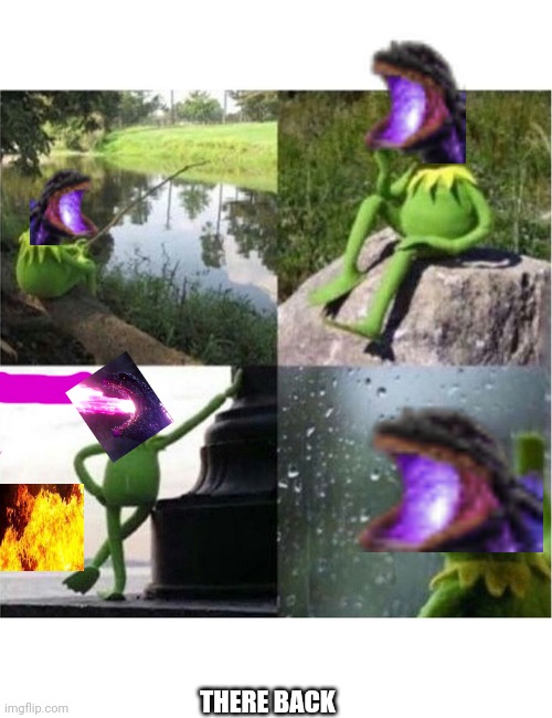 blank kermit waiting | THERE BACK | image tagged in blank kermit waiting | made w/ Imgflip meme maker