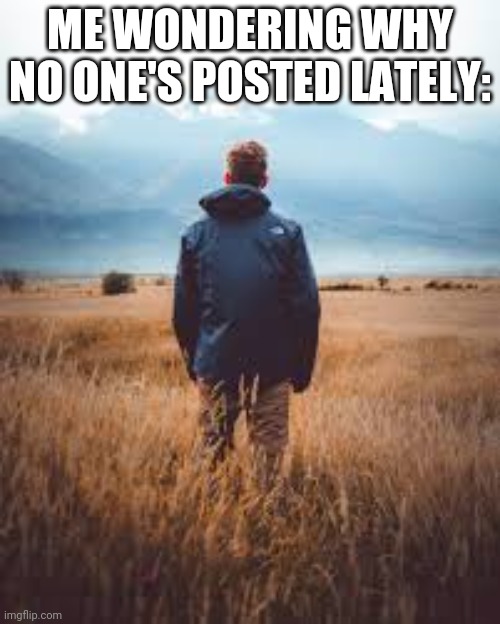 Guy standing in field | ME WONDERING WHY NO ONE'S POSTED LATELY: | image tagged in guy standing in field | made w/ Imgflip meme maker