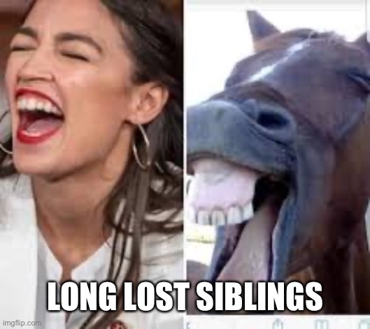 Poor Seabiscuit. I hope this makes its way to her. | LONG LOST SIBLINGS | image tagged in seabiscuit,aoc | made w/ Imgflip meme maker