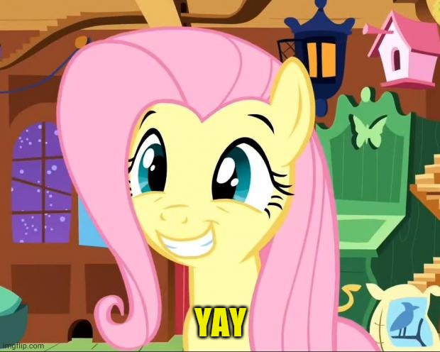 Happy Fluttershy | YAY | image tagged in happy fluttershy | made w/ Imgflip meme maker