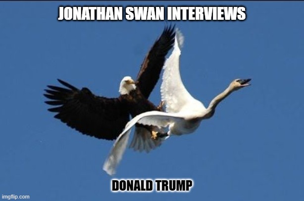 Trumpeter Swan | JONATHAN SWAN INTERVIEWS; DONALD TRUMP | image tagged in trump,axios,swan,jonathan swan | made w/ Imgflip meme maker