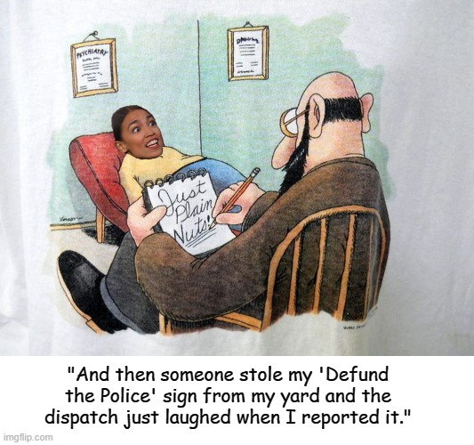 AOC Just plain Nuts | "And then someone stole my 'Defund the Police' sign from my yard and the dispatch just laughed when I reported it." | image tagged in aoc,defund the policee | made w/ Imgflip meme maker