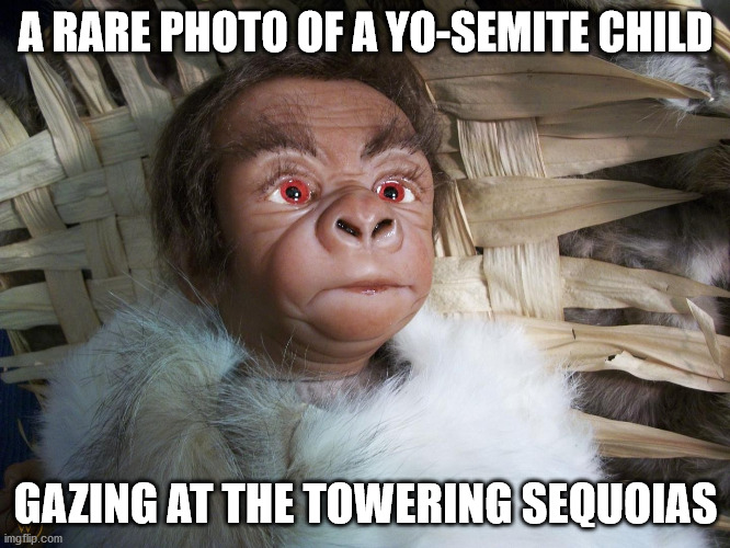 Yo-Semite | A RARE PHOTO OF A YO-SEMITE CHILD; GAZING AT THE TOWERING SEQUOIAS | image tagged in trump,idiot | made w/ Imgflip meme maker