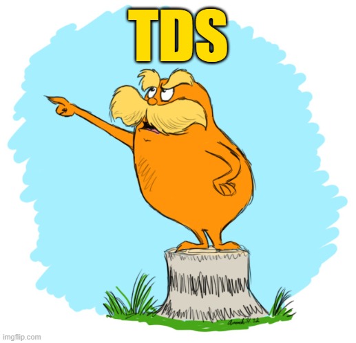 TDS | made w/ Imgflip meme maker