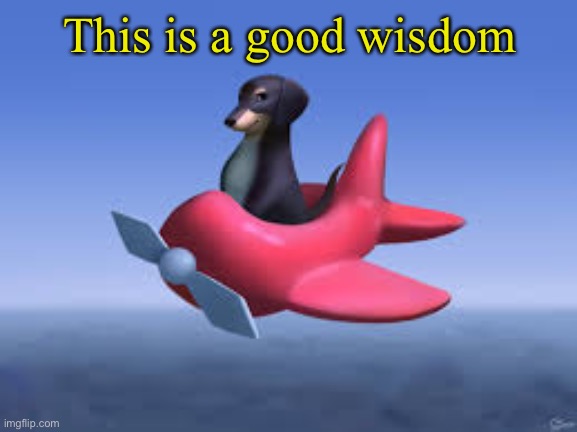 Dog of Wisdom | This is a good wisdom | image tagged in dog of wisdom | made w/ Imgflip meme maker
