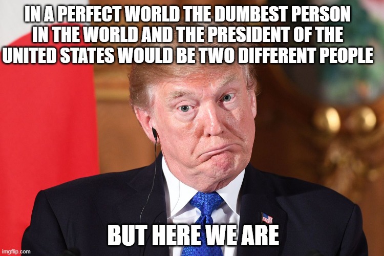 Trump dumbfounded | IN A PERFECT WORLD THE DUMBEST PERSON IN THE WORLD AND THE PRESIDENT OF THE UNITED STATES WOULD BE TWO DIFFERENT PEOPLE; BUT HERE WE ARE | image tagged in trump dumbfounded | made w/ Imgflip meme maker