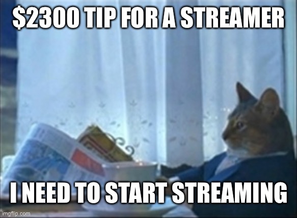 Cat newspaper | $2300 TIP FOR A STREAMER; I NEED TO START STREAMING | image tagged in cat newspaper | made w/ Imgflip meme maker