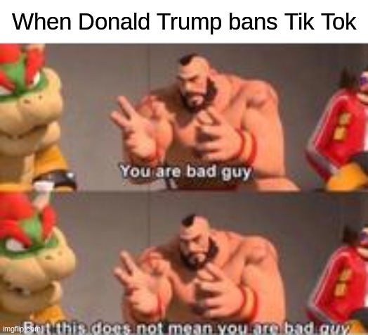 irl i hate donald trump with every fibre of my being | When Donald Trump bans Tik Tok | image tagged in you are bad guy | made w/ Imgflip meme maker