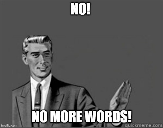 Grammar Guy | NO! NO MORE WORDS! | image tagged in grammar guy | made w/ Imgflip meme maker