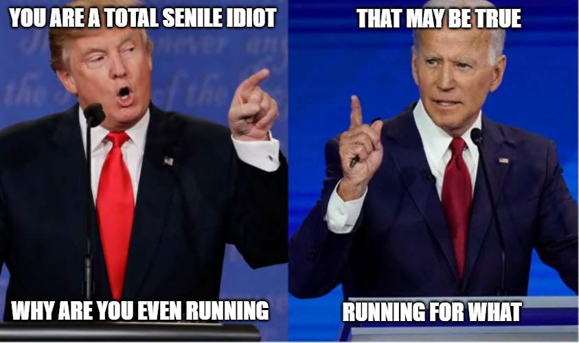 Wake up Joey | YOU ARE A TOTAL SENILE IDIOT; THAT MAY BE TRUE; WHY ARE YOU EVEN RUNNING; RUNNING FOR WHAT | image tagged in politics,memes,fun,funny,2020,trump | made w/ Imgflip meme maker