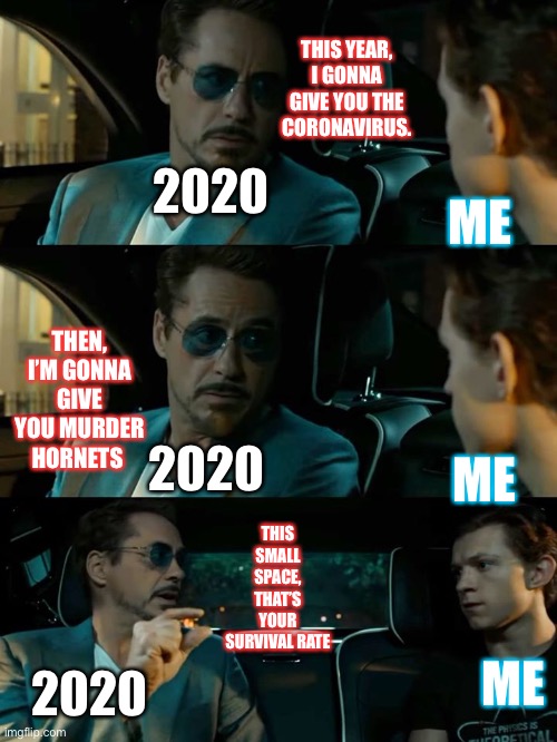 Tony stark grey area spiderman | THIS YEAR, I GONNA GIVE YOU THE CORONAVIRUS. ME; 2020; THEN, I’M GONNA GIVE YOU MURDER HORNETS; ME; 2020; THIS SMALL SPACE, THAT’S YOUR SURVIVAL RATE; ME; 2020 | image tagged in tony stark grey area spiderman | made w/ Imgflip meme maker