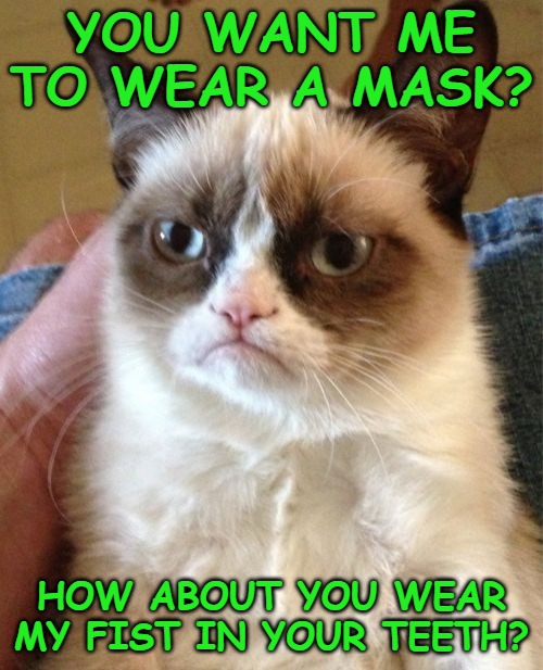 Grumpy Cat Meme | YOU WANT ME TO WEAR A MASK? HOW ABOUT YOU WEAR MY FIST IN YOUR TEETH? | image tagged in memes,grumpy cat | made w/ Imgflip meme maker