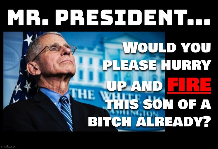 It can't be done soon enough. This man is insidious in his motives. If you trust him, you're a special kind of fool. | image tagged in anthony fauci,fauci,covid-19,political,vaccine,politics | made w/ Imgflip meme maker