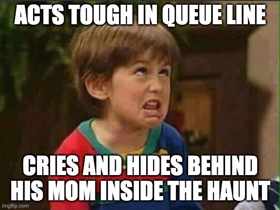 Annoyed kid | ACTS TOUGH IN QUEUE LINE; CRIES AND HIDES BEHIND HIS MOM INSIDE THE HAUNT | image tagged in annoyed kid | made w/ Imgflip meme maker