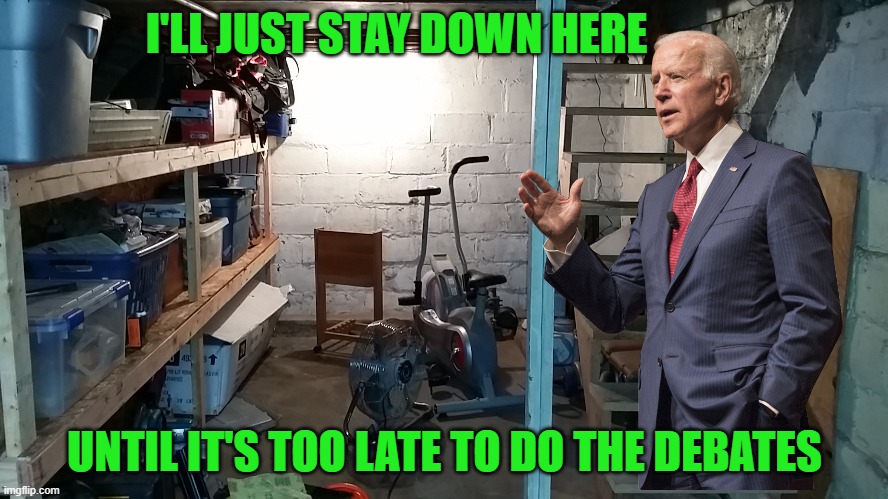 I can hide out forever | I'LL JUST STAY DOWN HERE; UNTIL IT'S TOO LATE TO DO THE DEBATES | image tagged in joe biden,basement dweller,debates,chicken,coward | made w/ Imgflip meme maker