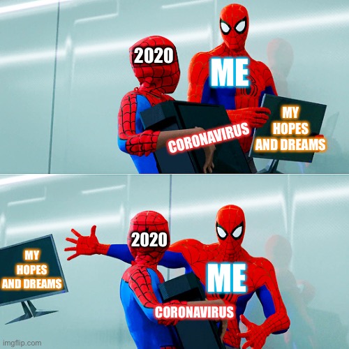 spiderman computer | ME; 2020; MY HOPES AND DREAMS; CORONAVIRUS; 2020; MY HOPES AND DREAMS; ME; CORONAVIRUS | image tagged in spiderman computer | made w/ Imgflip meme maker