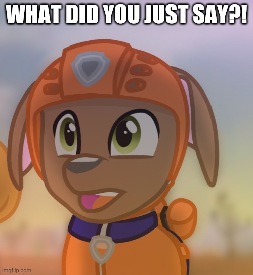 What did you just say? Zuma PAW Patrol by Rainbow Eevee | WHAT DID YOU JUST SAY?! | image tagged in paw patrol,paw patrol by rainbow eevee,zuma,what,amazed,shocked | made w/ Imgflip meme maker