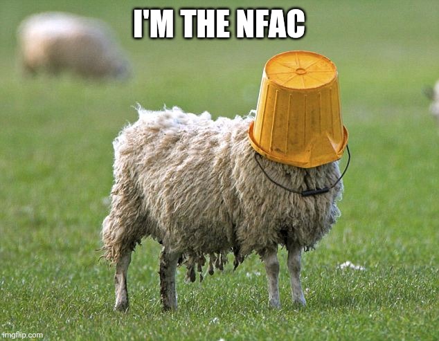 Black Paid Louisville BLM Mafia Militia NFAC Shoots Themselves | I'M THE NFAC | image tagged in stupid sheep,blm,lol so funny,true story,idiots,facts | made w/ Imgflip meme maker