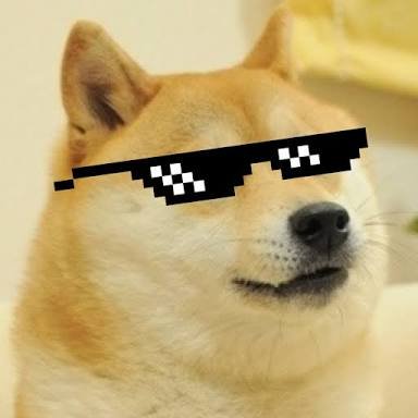 Doge mlg Blank Meme Template