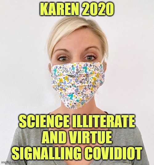 cloth face mask | KAREN 2020 SCIENCE ILLITERATE AND VIRTUE SIGNALLING COVIDIOT | image tagged in cloth face mask | made w/ Imgflip meme maker