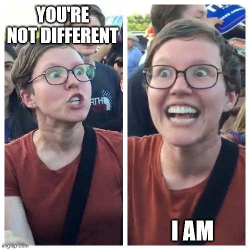 Social Justice Warrior Hypocrisy | YOU'RE NOT DIFFERENT I AM | image tagged in social justice warrior hypocrisy | made w/ Imgflip meme maker