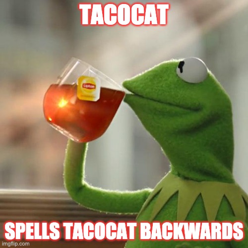 But That's None Of My Business Meme | TACOCAT; SPELLS TACOCAT BACKWARDS | image tagged in memes,but that's none of my business,kermit the frog | made w/ Imgflip meme maker